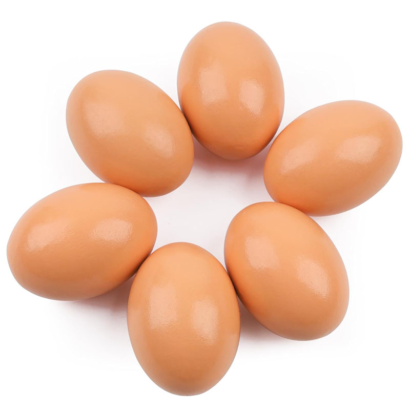 Telur Kayu untuk Ayam Petelur  - Baby Food With Chicken ulasan dan harga